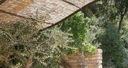 Provençal stone house LA BAUMO 1 for 2 guests