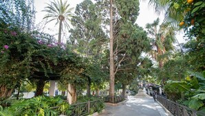 A pathway lined with trees and plants, leading to a covered area with seating. - Jardines de Candelaria Cadiz (Cádiz)