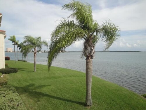 Waterfront 2BR condo in St. Petersburg with pool, hot tub & balcony.