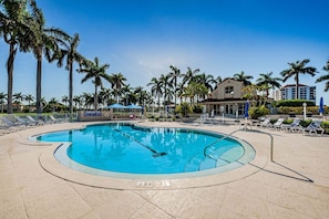 A swimming pool with lounge chairs and palm trees.