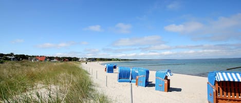 On the beach