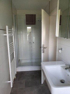 Bathroom features a glass-enclosed shower, a bathtub, and a large mirror.