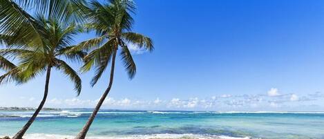 ビーチの近く、ビーチタオル