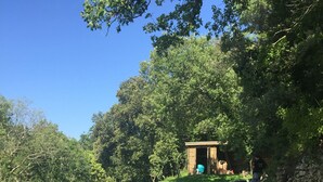 Une piscine entourée d’une végétation luxuriante et d’arbres.