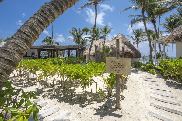 A beach with a wooden walkway, palm trees, and a thatched-roof structure.