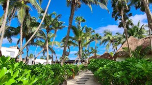 A pathway lined with palm trees and thatched-roof structures, leading towards a building.