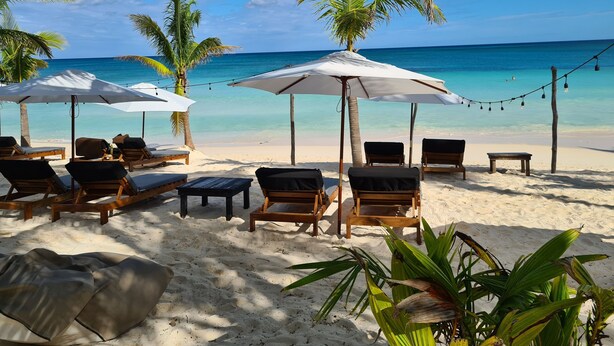 A beach with lounge chairs and umbrellas, palm trees, and a clear view of the ocean.