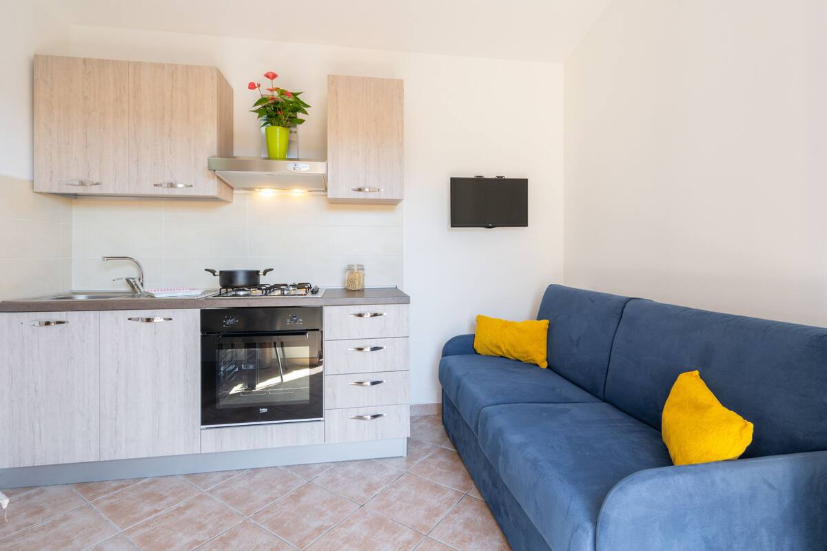 A modern kitchen with light wood cabinets, a gas stove, and a built-in oven. There is a blue sofa with yellow cushions and a small potted plant on the counter.