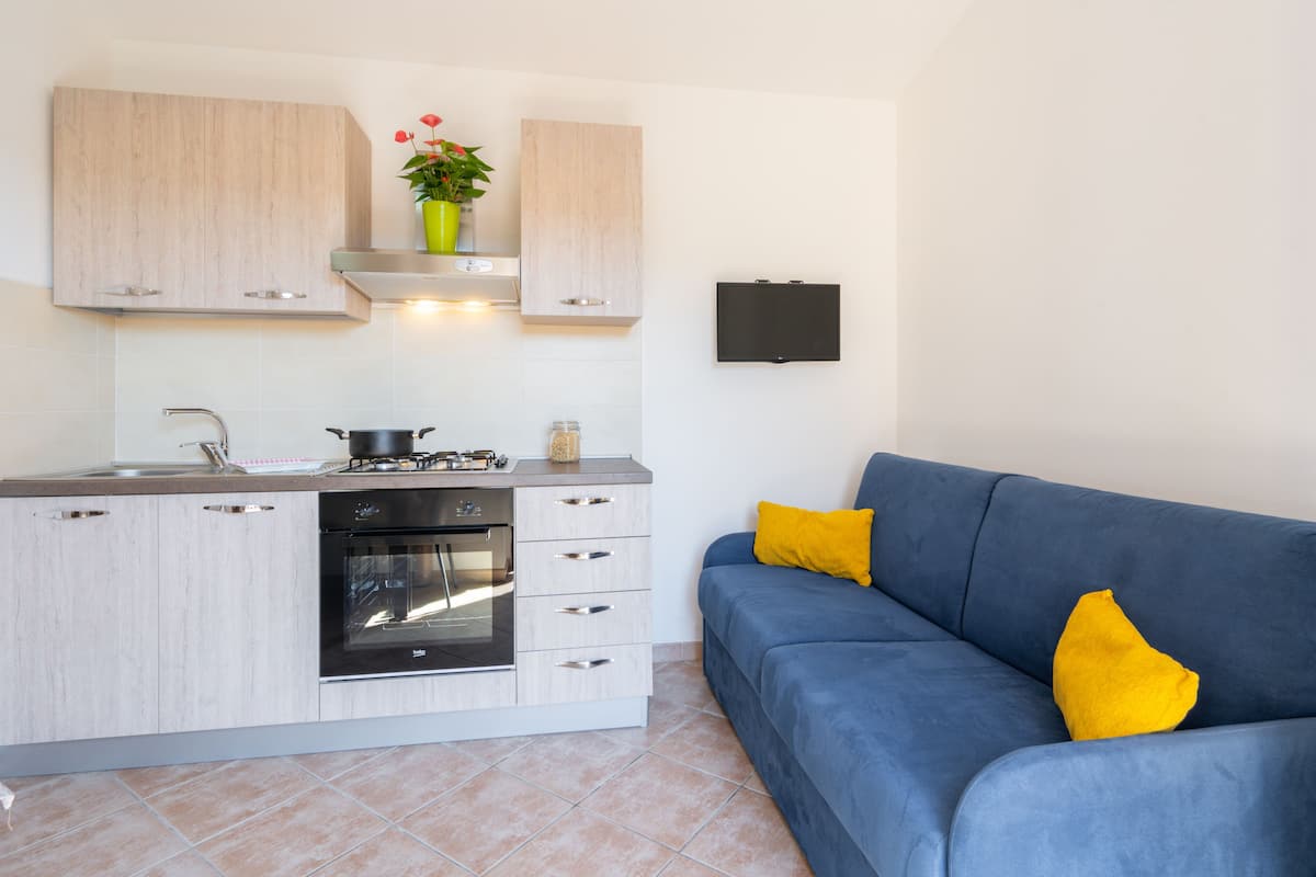 Classic Apartment, 1 Bedroom, Private Pool, Courtyard Area | Private kitchen | Full-size fridge, oven, griddle, cookware/dishes/utensils