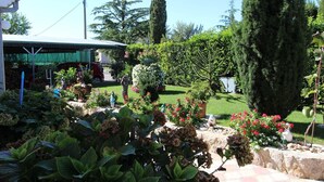 Un jardí amb diverses plantes i una estàtua.