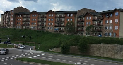 Wyndham Resorts 1BR @ Wilderness Lodge