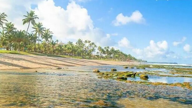 Una spiaggia con acque cristalline poco profonde, palme e una costa in lontananza.