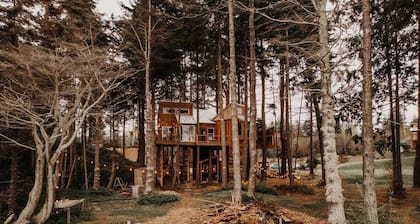 Cabane dans les arbres Ă Twilight Beach
