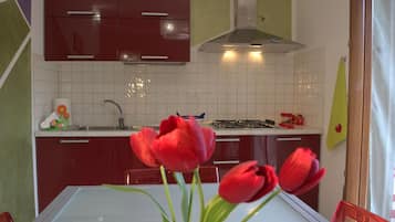 Fridge, oven, stovetop