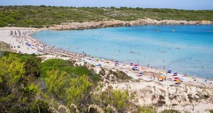 Apartamentos Posidonia