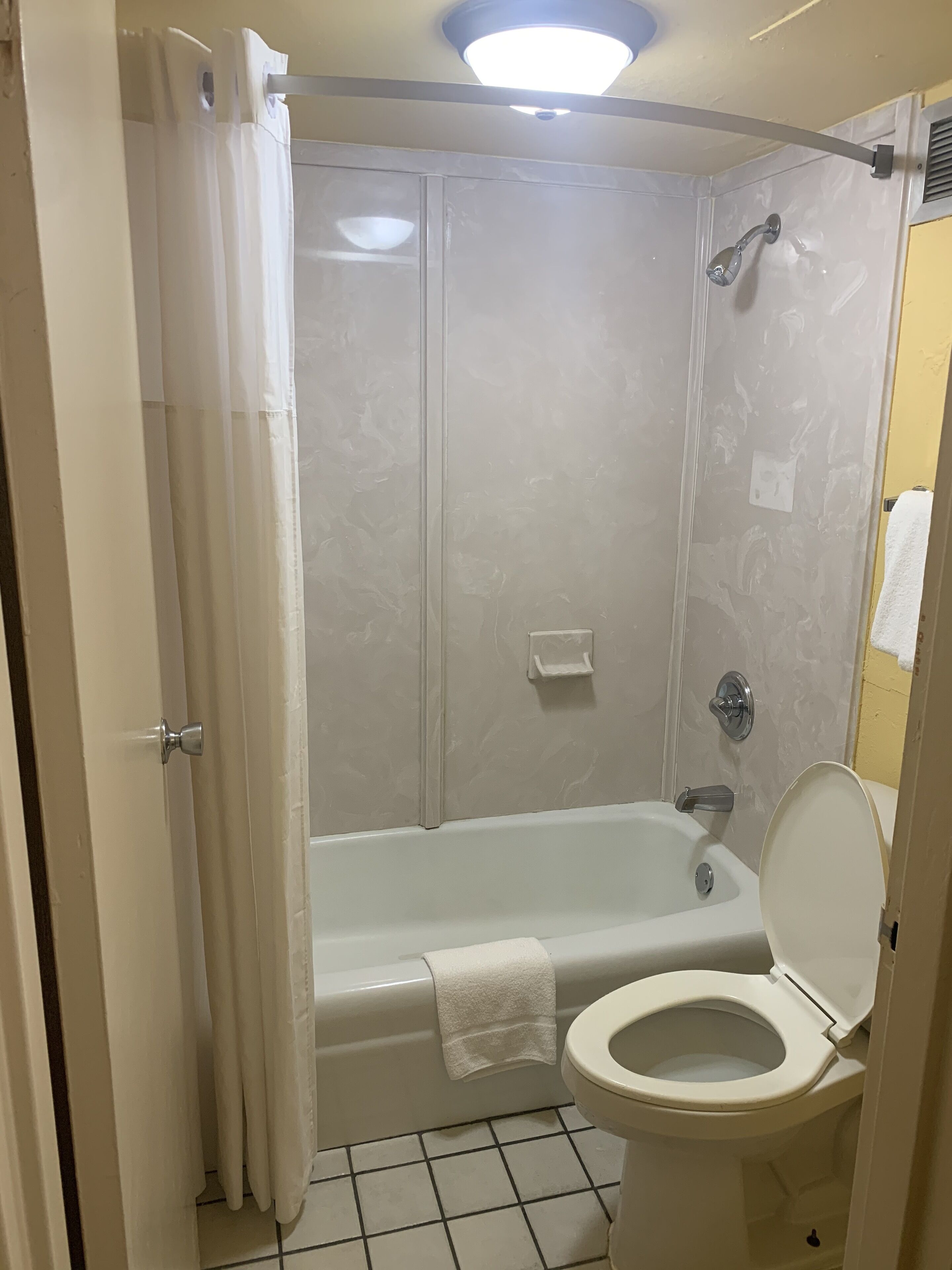 Tweepersoonskamer, niet-roken | Badkamer | Gratis toiletartikelen, een haardroger