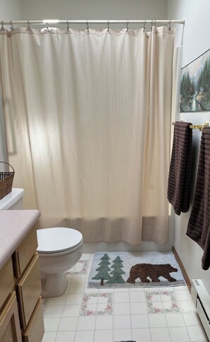 Combined shower/tub, towels, toilet paper - Thee perfect getaway to enjoy all that Colorado has to offer…..🏡🎣☀️🚣🏔🌲 (Bellvue)