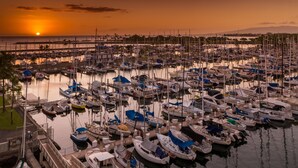 Un port de plaisance était rempli de bateaux de toutes sortes, amarrés au quai.