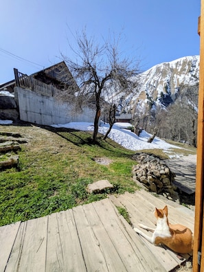 En träveranda med en hund, en stenmur och ett berg i bakgrunden.