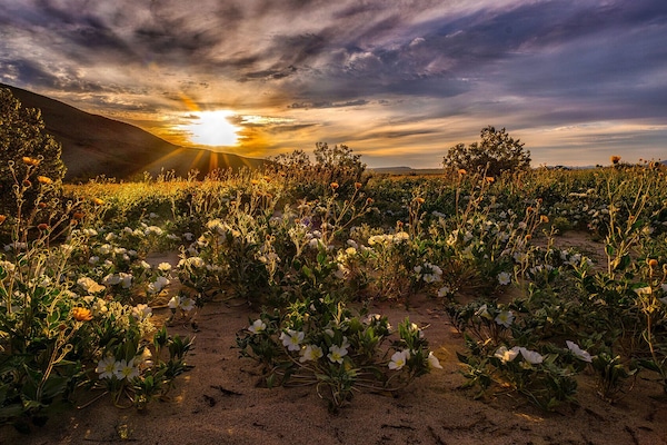 Morning sunrise in this wonderful desert