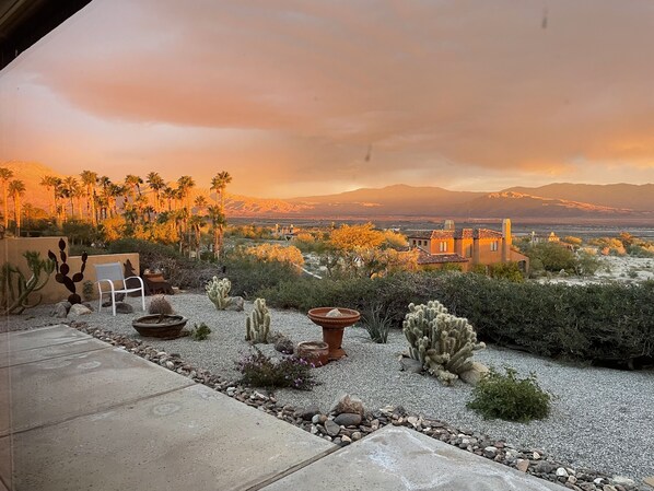A desert landscape with cacti and palm trees, a patio with a chair and table, and a view of distant mountains and buildings.