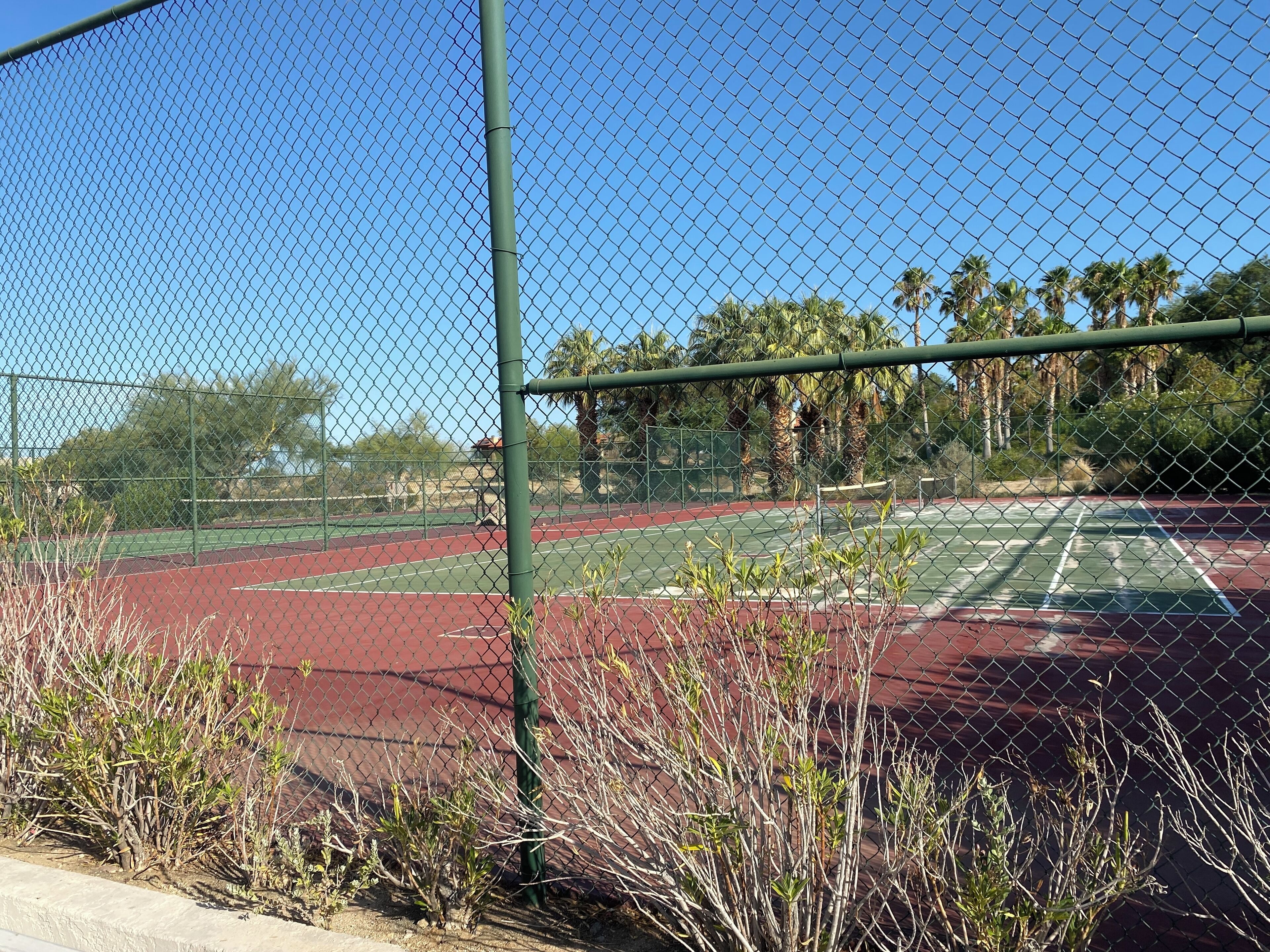 En tennisbane omgivet af hegn med palmer i baggrunden.