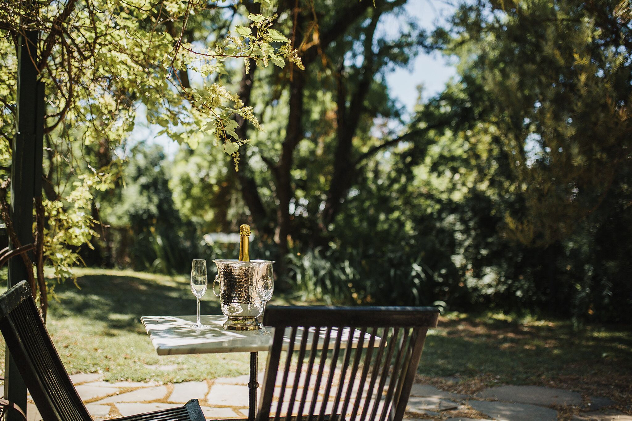 Wild Olive Cottage  Clare Valley — image 19