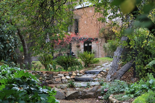 Wild Olive Cottage  Clare Valley