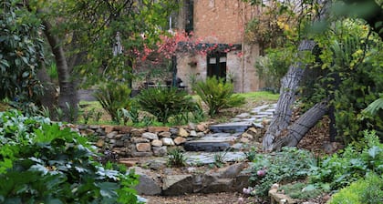 Wild Olive Cottage Clare Valley