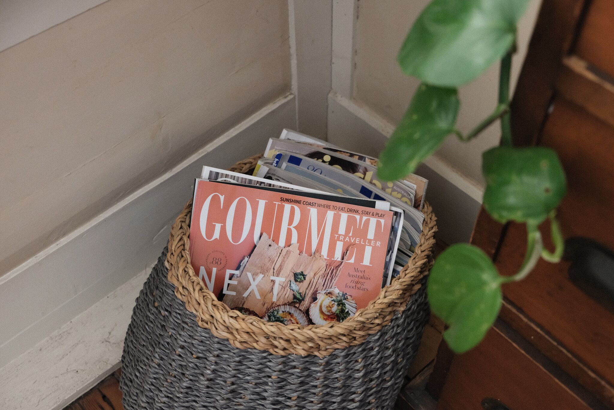 Wild Olive Cottage  Clare Valley — image 2