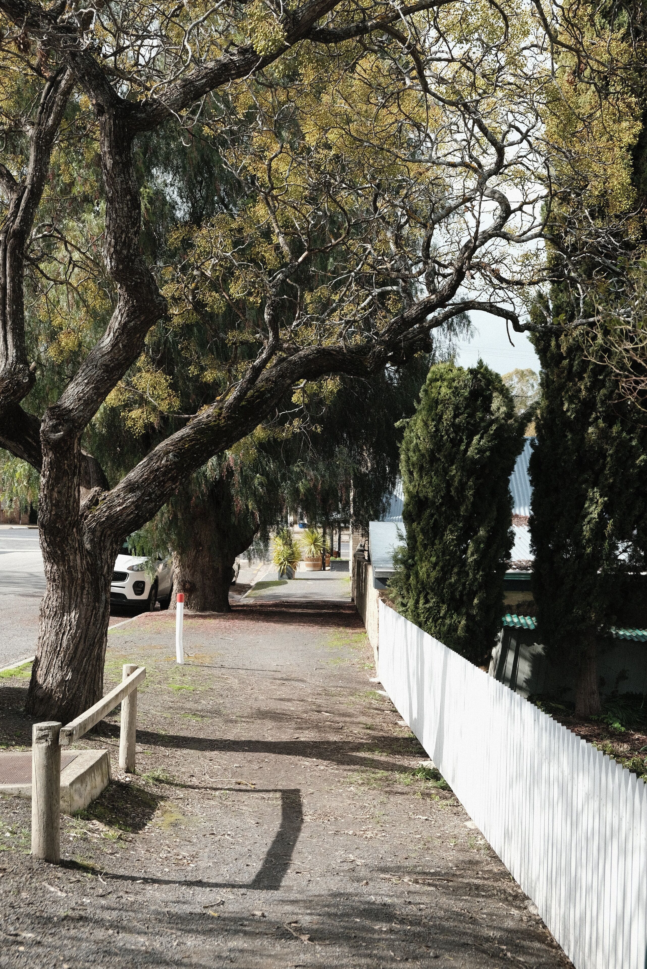 Wild Olive Cottage  Clare Valley — image 21