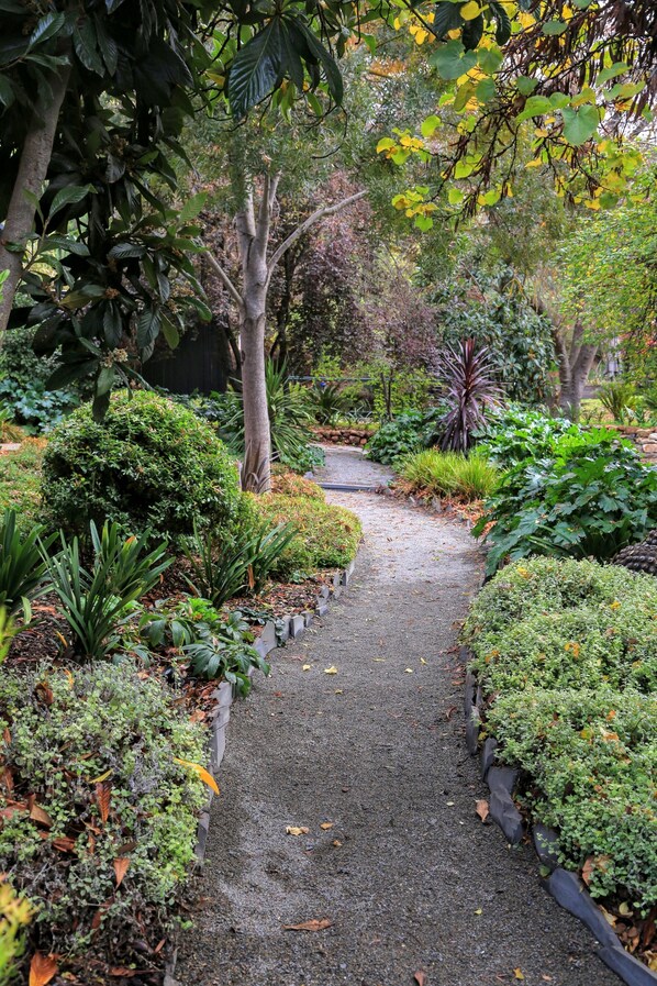 A garden pathway surrounded by various plants and trees.