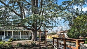A residential property with a large tree, a wooden deck, and a house with a porch. - The Atlas Calistoga - Cottage #2 (Calistoga)