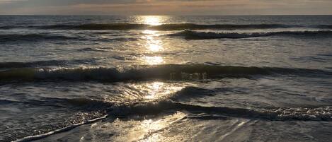 Playa en los alrededores