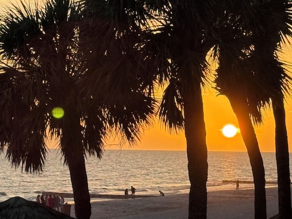 A beach scene with palm trees, the ocean, and the sun setting in the background.