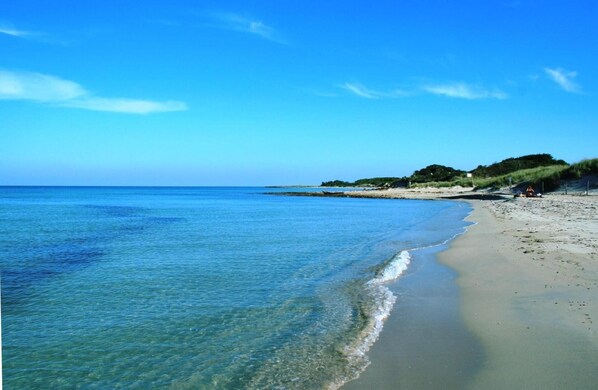 Strand