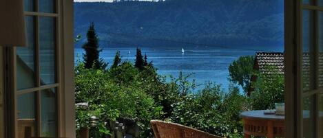 تناول الطعام