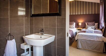 Silver Birch - UKC4529