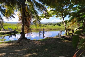 A serene outdoor setting with a calm water body, surrounded by lush greenery and palm trees. - Method Living Tropical Edition 50024 (Cabarete)