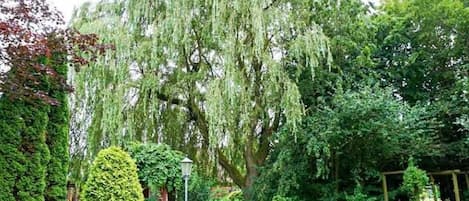 Overnatningsstedets område