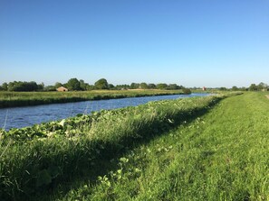 Unclassified image, 4 of 22, button