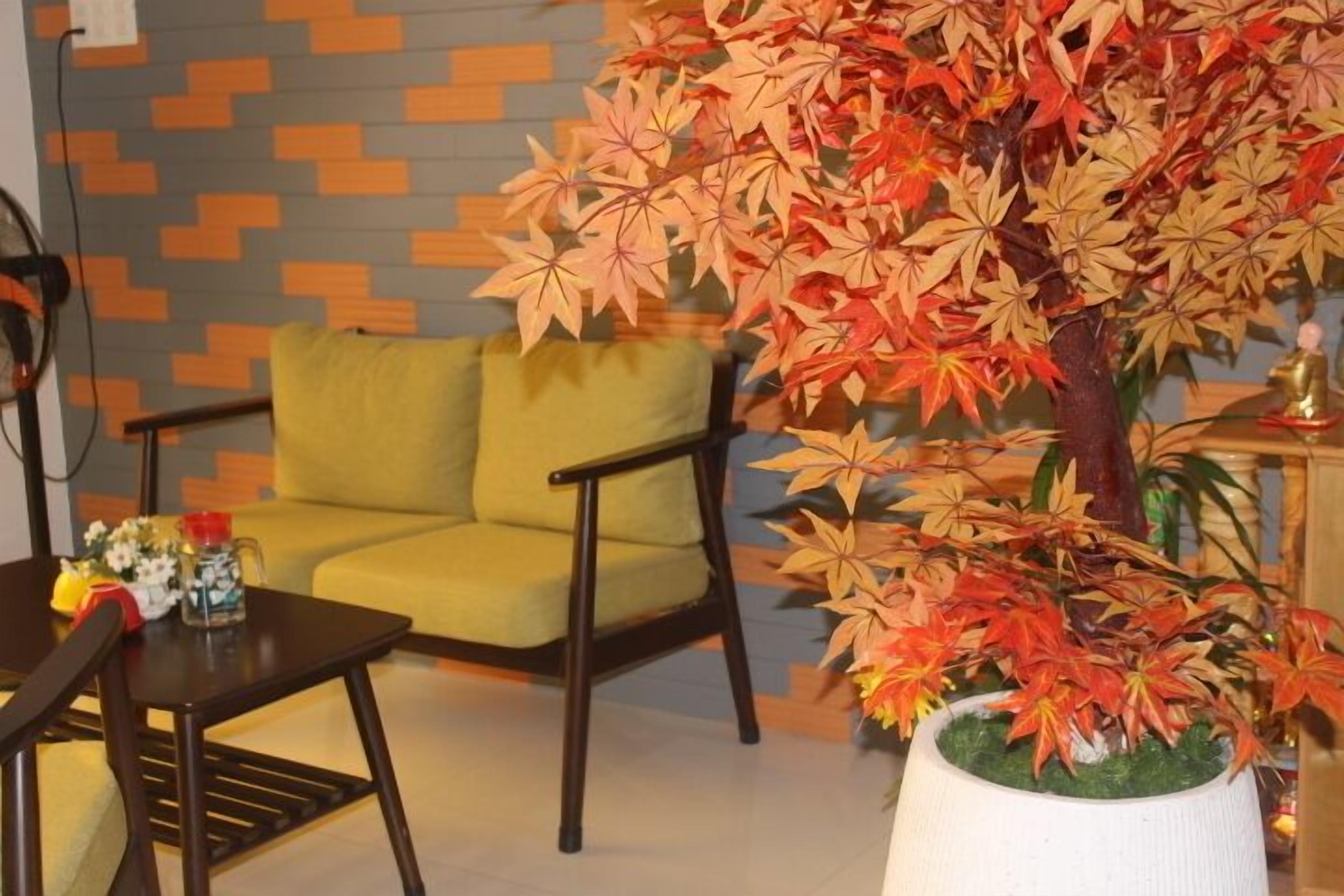 Photo - Maison Khoi Homestay
