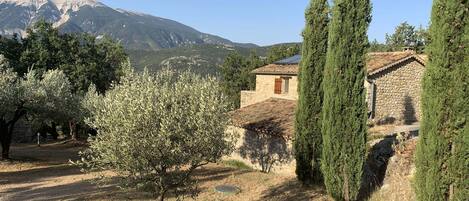 Jardines del alojamiento