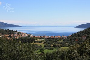 Beach/ocean view - Villa Ianthi, Stamoulis villas at the heart of the island (Kefalonia)