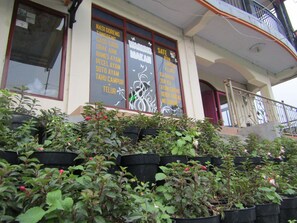 Un edificio con varias ventanas que muestran una lista de nombres. Hay plantas en macetas frente al edificio.
