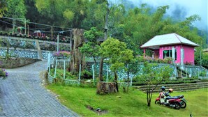 A pink house with a sloped roof, surrounded by lush greenery and a cobblestone path. - Penginapan Puncak DP (Berastagi)