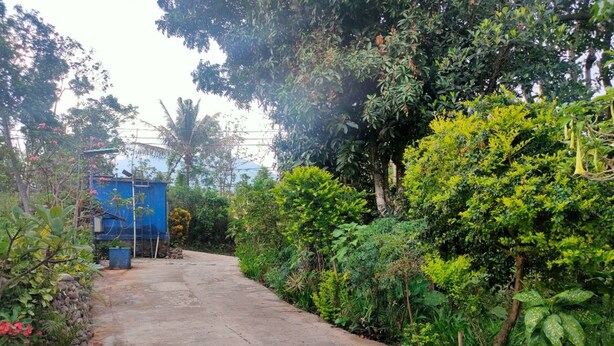 A concrete pathway flanked by lush greenery and a blue structure. - Hotel Rinosari Bandungan (Bandungan)