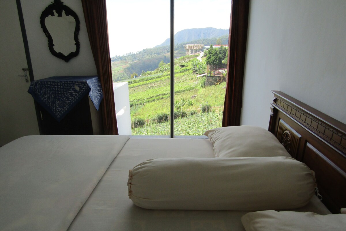 A hotel room with a large bed, a view of a green landscape through a window, and a wooden headboard.