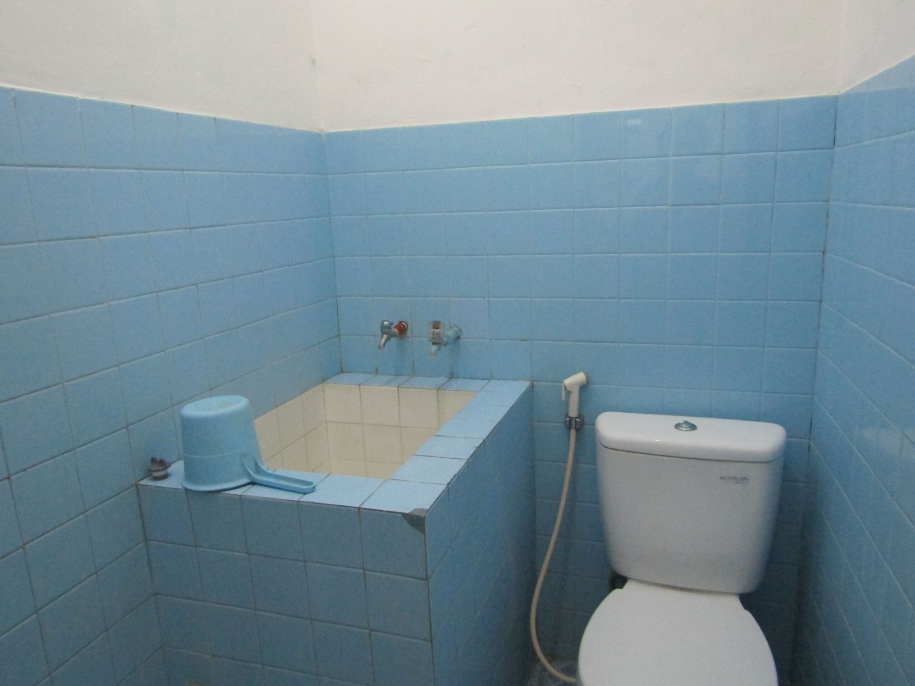 Une salle de bain avec des carreaux bleus, une baignoire, des toilettes et un flexible de douche.