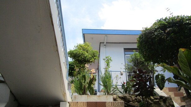 A staircase leading to a building with a blue roof, surrounded by potted plants and a small garden area. - Hotel Pantes (Plaosan)